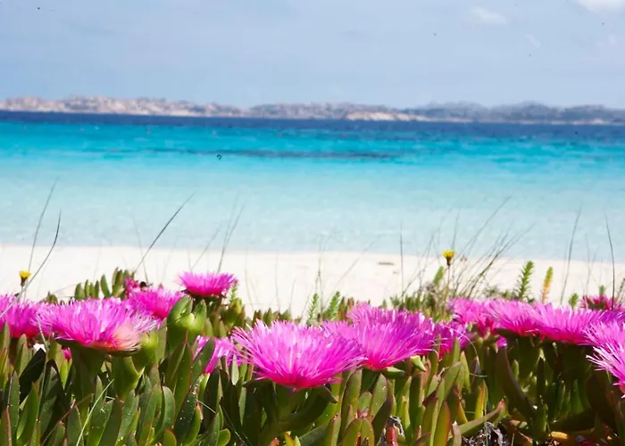 Bilancia V 30' Porto Cervo & Private Terrace With Sea View Apartman *
